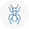 Ant Removals In Rye