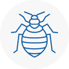Bed Bug Extermination In Rye