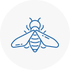 Bee Nest Removal Rye