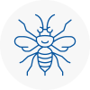 Rye Hornet Nest Removals
