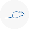 Mice Exterminators In Rye