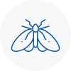 Moth Control Specialists In Rye