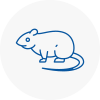 Rat Control Rye