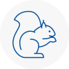 Rye Rodent Removals