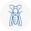 Rye Wasp Nest Removal